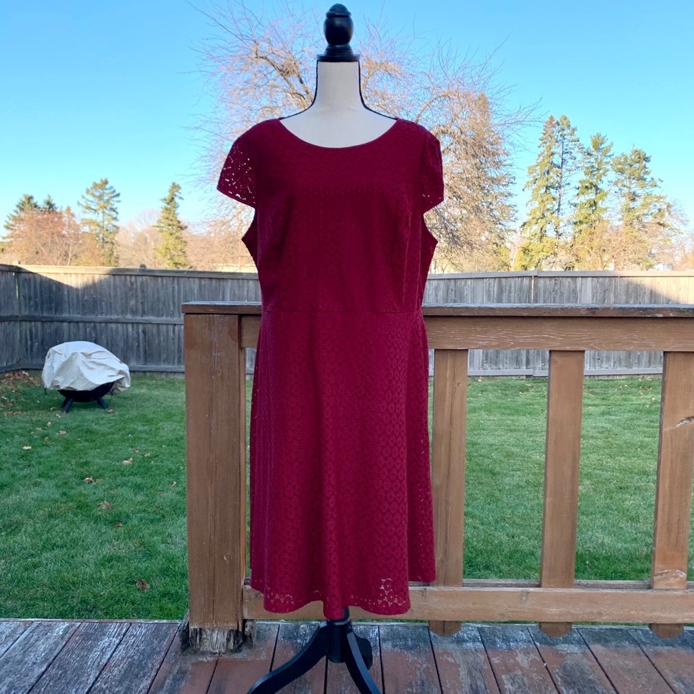 Cranberry Laced Dressbarn Dress - Size 20